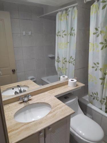 a bathroom with a sink and a toilet and a mirror at Apartamento tipo estudio acogedor entre metro católica y baquedanono in Santiago