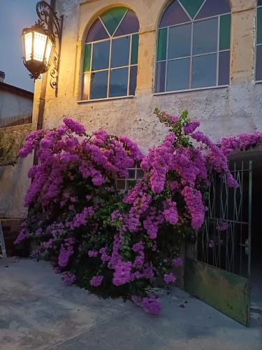 San Felice del Benaco