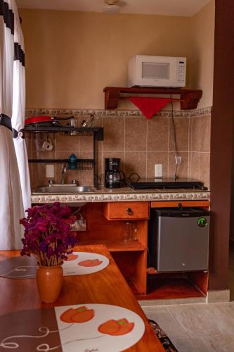 聖克里斯托瓦爾－德拉斯卡薩斯的住宿－Herrera Arte B&B，厨房配有炉灶和微波炉。