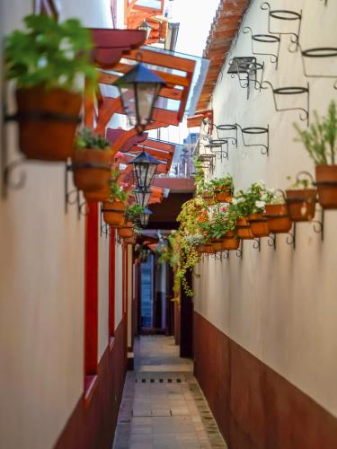 聖克里斯托瓦爾－德拉斯卡薩斯的住宿－Herrera Arte B&B，楼边有盆栽的小巷