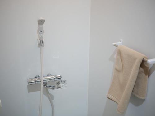 a bathroom with a shower with a towel on a wall at Hotel Links Dobutsuenmae in Osaka