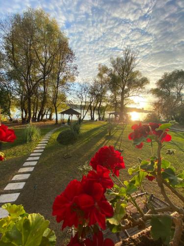 Fotografie z fotogalerie ubytování Dunavska lepotica 1 v Bělehradě
