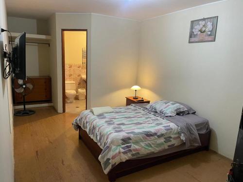 伊卡的住宿－Entre Cava y Cata，一间卧室配有一张床和一台电视