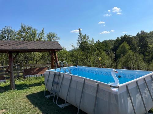 une piscine avec un cygne au milieu dans l'établissement Cabana din Livada, Călimănești, à Sălătrucel