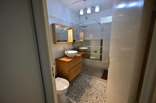W łazience znajduje się toaleta, umywalka i lustro. w obiekcie La Magnifique w mieście Mandelieu-la-Napoule