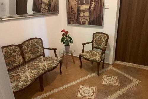 2 sillas y una mesa con una planta en una habitación en Gartenwohnung 5 min. zur Stadt, en Hagenau