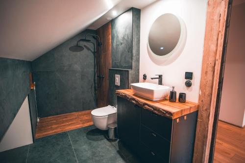 a bathroom with a sink and a shower and a toilet at Korter vanalinna peatänaval in Viljandi