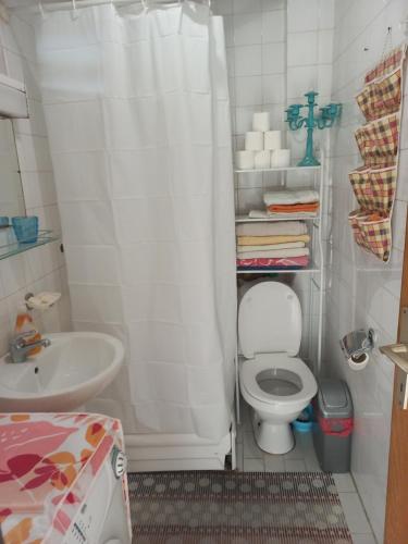 een badkamer met een toilet en een wastafel met een douchegordijn bij Timo Bokelski in Donji Stoliv