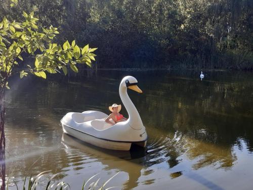 a toy duck sitting on a swan in the water at Letnia Rezydencja Roztocze in Tomaszów Lubelski