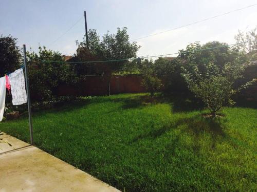 a yard with a clothesline in the grass at Maison proche de la mer in Murtosa
