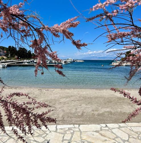 a view of a beach with pink flowering trees at Villa Runčika Luxury Apartment in Lukoran
