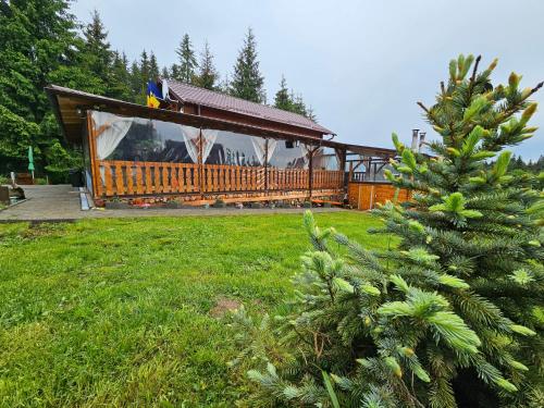 a gazebo in a yard with a pine tree at Cabana Refugiul Montan Belis in Beliş