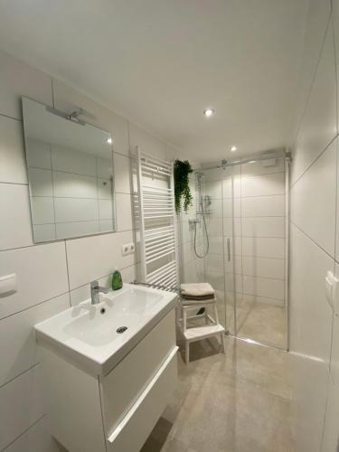 La salle de bains blanche est pourvue d'un lavabo et d'une douche. dans l'établissement Scheunentraum Brenig, à Bornheim