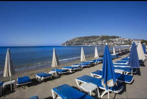 a beach with blue and white chairs and umbrellas at Alanya My Boutique Hotel in Alanya