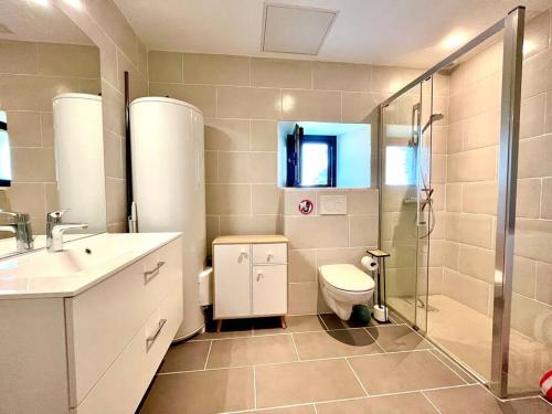 a bathroom with a shower and a toilet and a sink at Dépendance corps de ferme in Naucelles