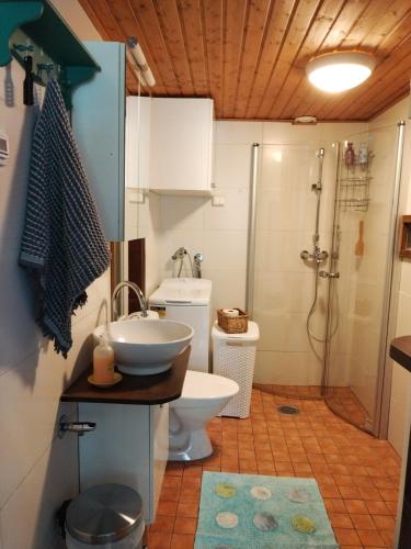 a bathroom with a sink and a toilet and a shower at Villa Koskikorento in Kannus