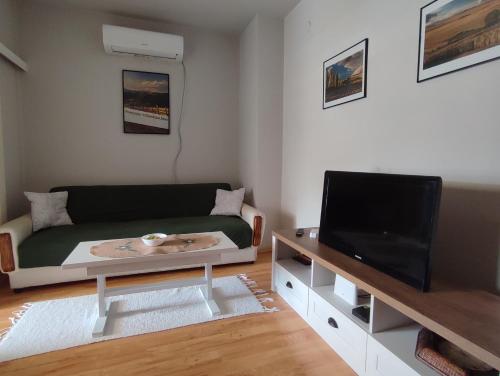 sala de estar con sofá y TV de pantalla plana en Vila Zora apartman, en Banja Koviljača