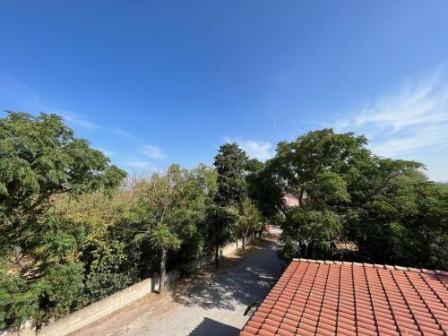 an overhead view of a roof of a house with trees at Stefania Guest House in Giba