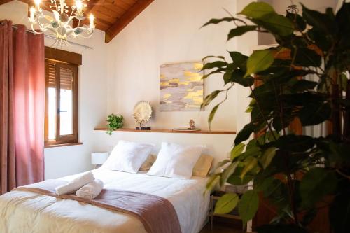a bedroom with a bed with white sheets and a plant at Montaña y Campo "Remanso de Paz" in Castropodame