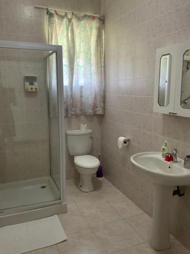 a bathroom with a shower and a toilet and a sink at Le Chevalier Bay Guesthouse in Anse Lazio