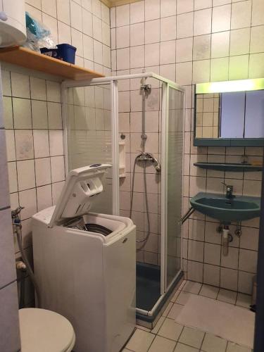 ein Bad mit einer Dusche, einem WC und einem Waschbecken in der Unterkunft Apartment karl 