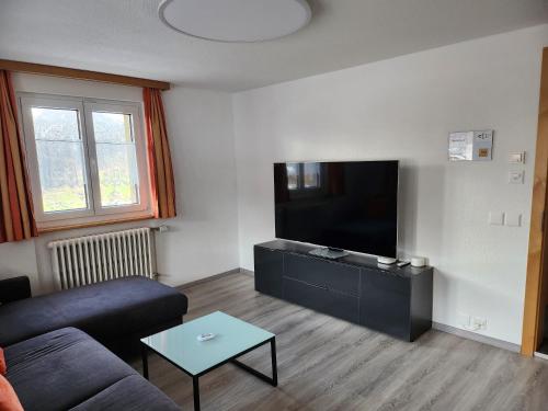 a living room with a couch and a flat screen tv at Steinbock in Grächen