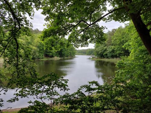 a view of a river through the trees at Willa Wiselka in Wisełka