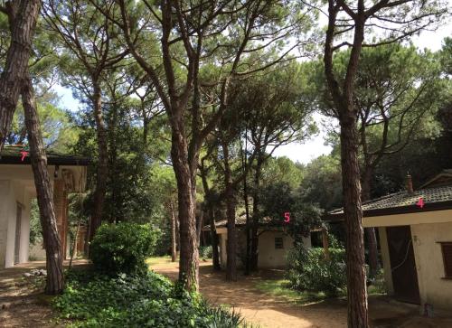 Foto dalla galleria di Villaggio Arco a Eraclea Mare