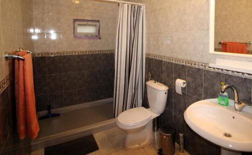 een badkamer met een toilet, een wastafel en een douche bij Petra Bed & Breakfast in Wadi Musa