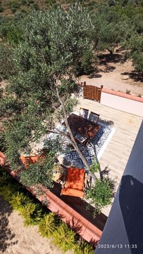 an overhead view of a patio with a tree at Semiramis Urla Guesthouse in Urla