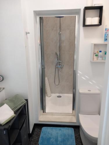 a bathroom with a shower and a toilet at Casa Porta do Sol in Estremoz