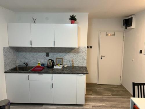 a kitchen with white cabinets and a sink and a door at Apartman Utrine 1 in Zagreb