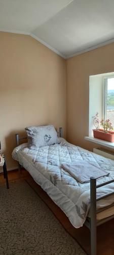 a bedroom with a large bed with a window at Genius Hostel Center with Grill zone and yard in Chişinău