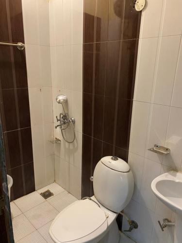 a bathroom with a toilet and a sink at HOTEL ROBIN in Amritsar