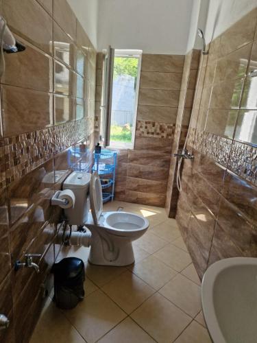 a bathroom with a toilet and a shower and a sink at Bar-Restaurant-Hotel-Familja in Klos