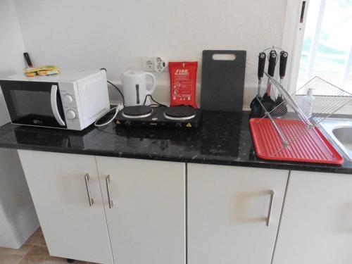 a kitchen counter with a toaster and a microwave at Lovely 1 bedroom attached apartment with kitchen but private with seasonable pool in Albox