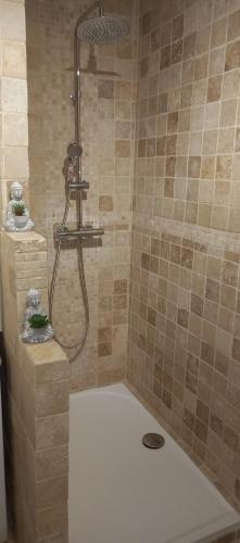 La salle de bains est pourvue d'une douche et d'une baignoire blanche. dans l'établissement La Bohème, à Eyragues