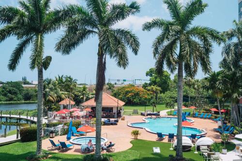 a view of the pool at a resort with palm trees at Hilton Palm Beach PBI in West Palm Beach