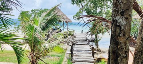 a wooden path leading to a beach with palm trees at Mangrove Beach Bungalows in Koh Rong Sanloem