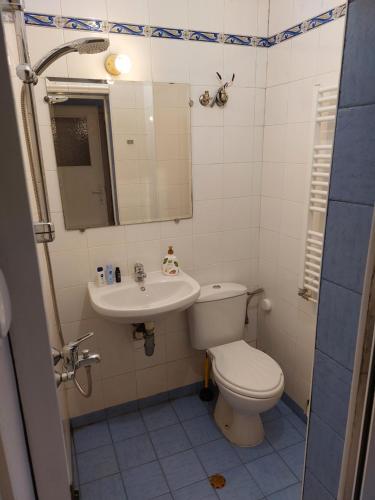 La salle de bains est pourvue de toilettes et d'un lavabo. dans l'établissement Studio Rositza, à Sofia