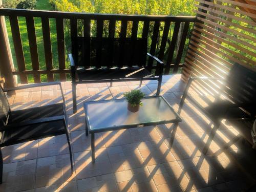 a table and chairs on a porch with a potted plant at Faház a kilátónál Woodhouse Lux near Kőszeg 6km Szombathely 10km Bük 20km in Lukácsháza