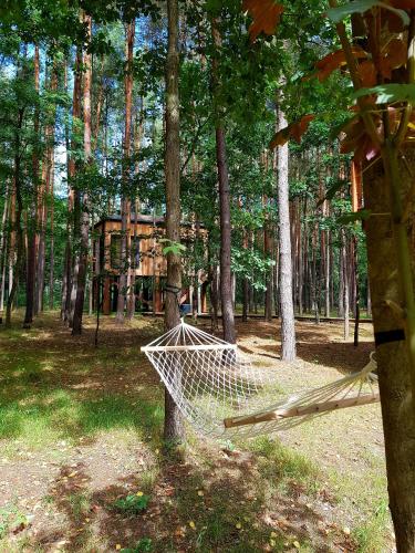 Tree Houses Olszankaにある庭