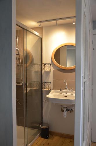 a bathroom with a sink and a shower at les gites du passage: le nid in Passenans
