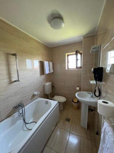 a bathroom with a tub and a toilet and a sink at Vila Alex&Razvan in Tulcea