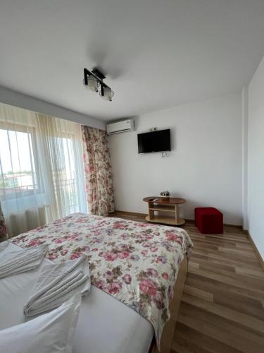 Gallery image of Vila Alex&Razvan in Tulcea