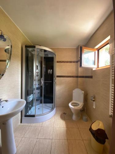 a bathroom with a shower and a toilet at Cabana Mario in Albac