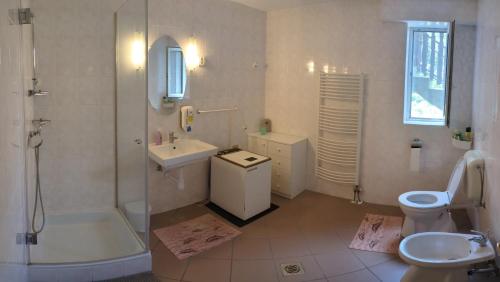 a bathroom with a shower sink and a toilet at Little Bear Apartment in Mogyoród