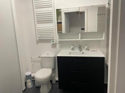 une salle de bain avec toilettes, lavabo et miroir dans l'établissement Appartement Cosy Champs sur Marne, à Champs-sur-Marne