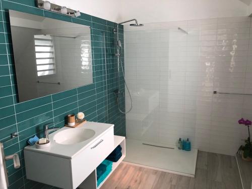 La salle de bains est pourvue d'un lavabo et d'une douche avec un miroir. dans l'établissement vert lagon, à Saint-Pierre