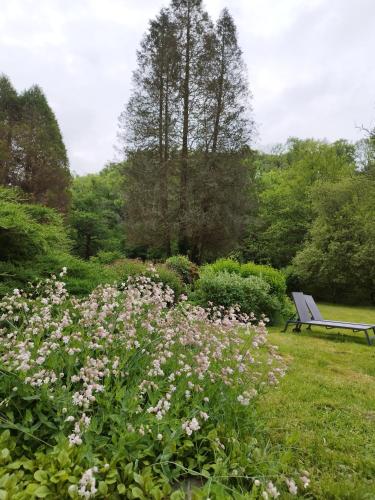Moulin de chez Joyeux – Photos 2